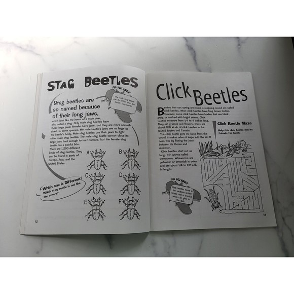 Let's Discover Insects Fantastic Facts, Super Stickers, And Amazing Activities - Picture 6 of 10